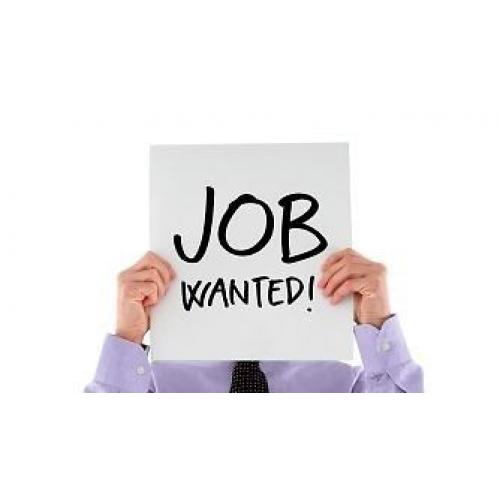 full time job wanted