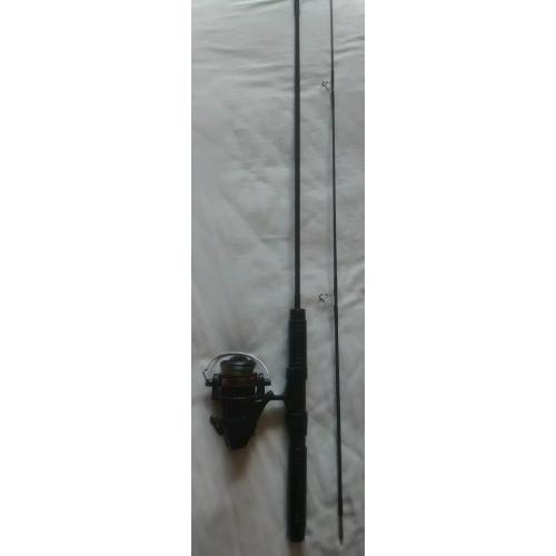 Rod and reel