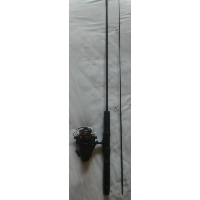 Rod and reel