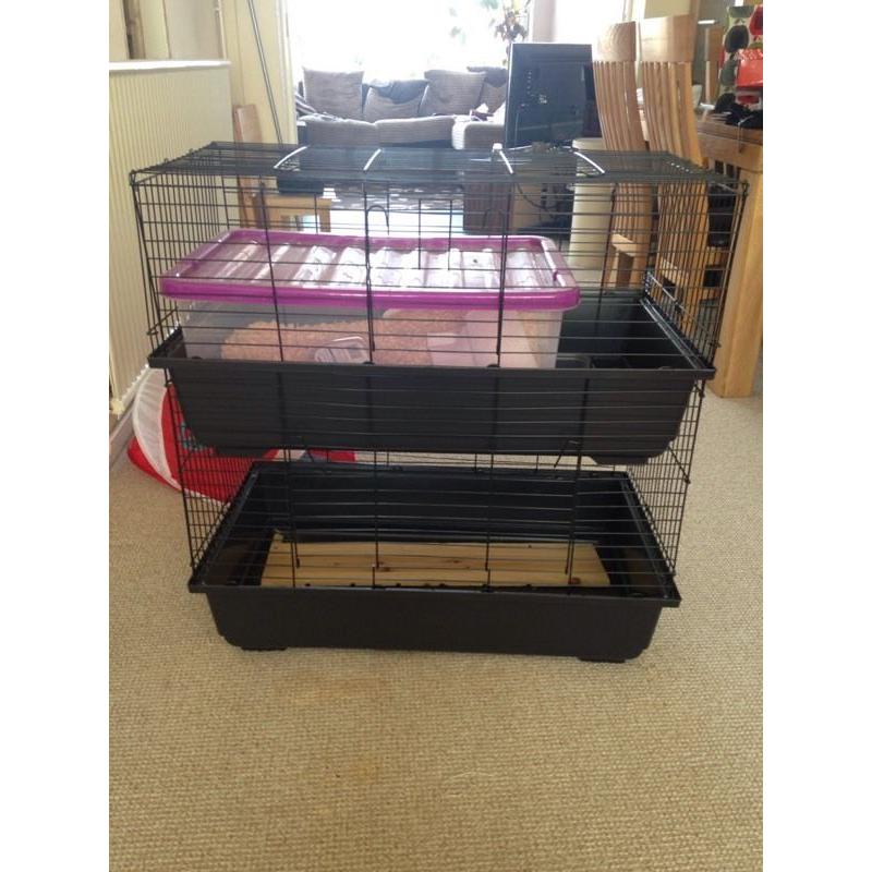 Rabbit cage