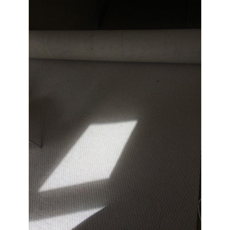 Huge cream carpet