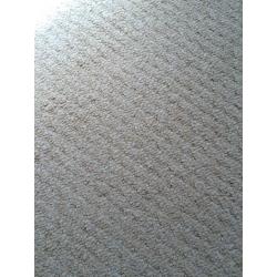 Huge cream carpet