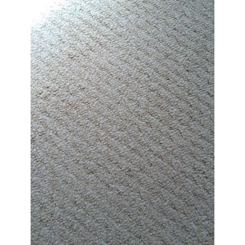 Huge cream carpet