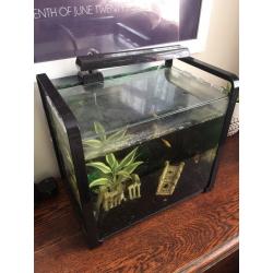 Fish Tank with Fish