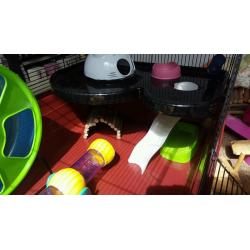Alaska hamster cage