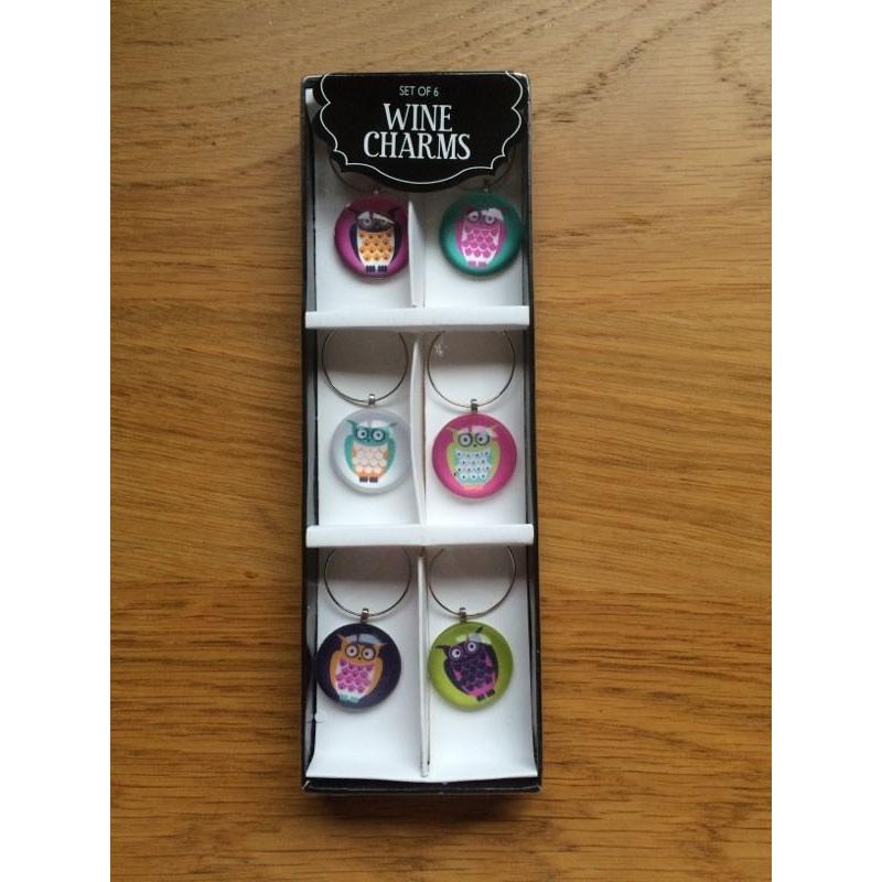 Pack of 6 owl wine charms