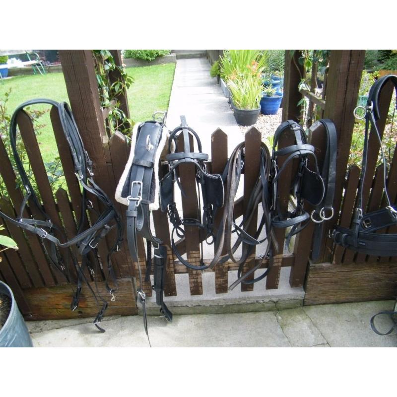 Hartland harness