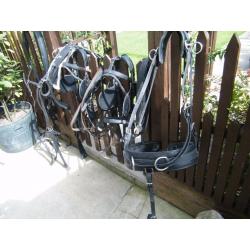 Hartland harness