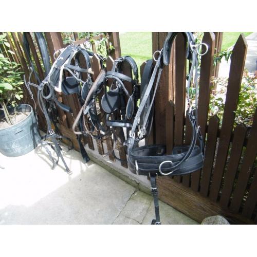 Hartland harness