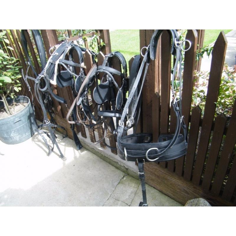 Hartland harness