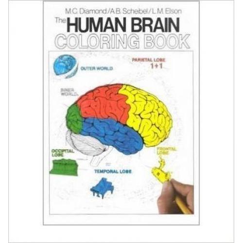 New! THE HUMAN BRAIN COLORING BOOK by Diamond, Marian C.