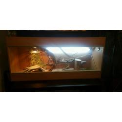 Oak reptile vivarium