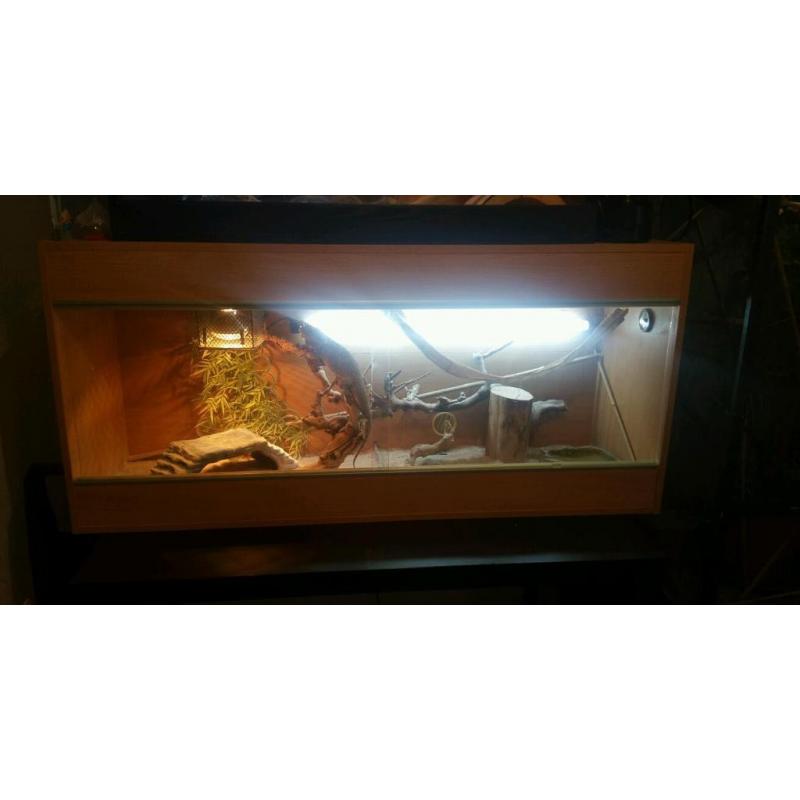 Oak reptile vivarium