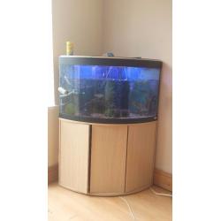 Fluval 190 corner aquarium, filter, light, heater, air pump, stand and more all included