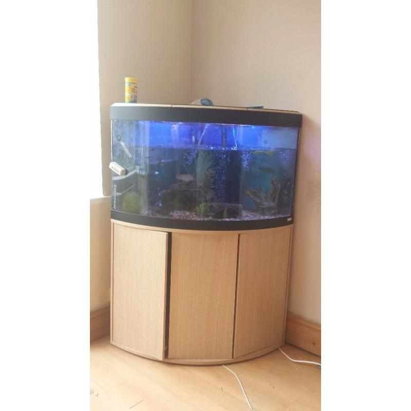 Fluval 190 corner aquarium, filter, light, heater, air pump, stand and more all included