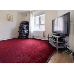 Nice Double Room in Canary Wharf