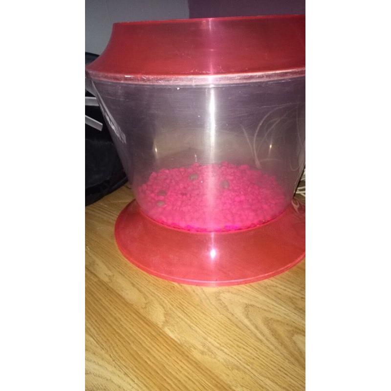 Pink girls fish tank
