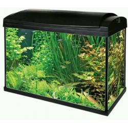 65Litre Fishtank