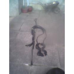 driving harness