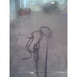 driving harness