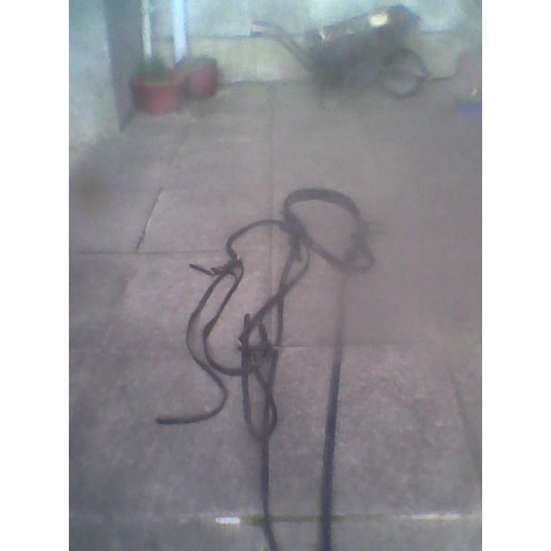 driving harness