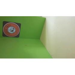 Dolls house