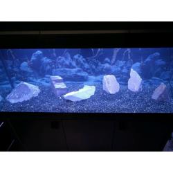 Fluval 240 litre aquarium great condition!!!