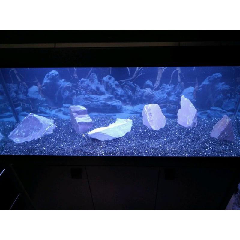 Fluval 240 litre aquarium great condition!!!