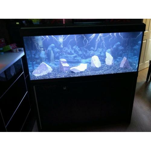 Fluval 240 litre aquarium great condition!!!