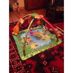 Fisher-Price Rainforest Gym.