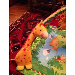 Fisher-Price Rainforest Gym.