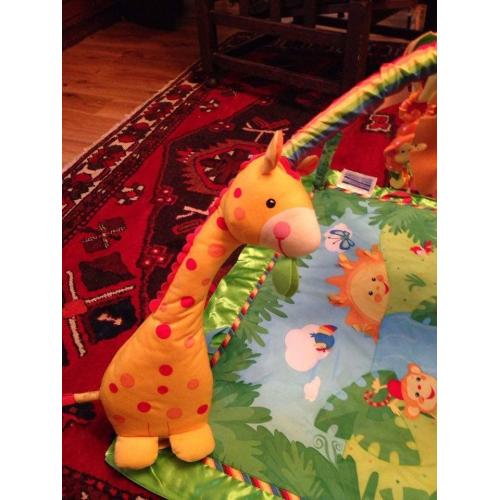 Fisher-Price Rainforest Gym.