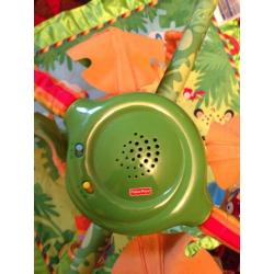 Fisher-Price Rainforest Gym.
