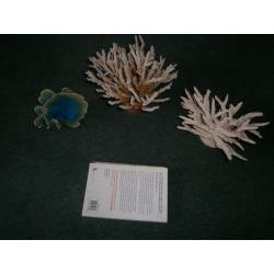 3 pieces of Marine coral, reproduction, very realistic.