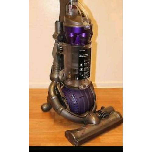 Dyson ball animal
