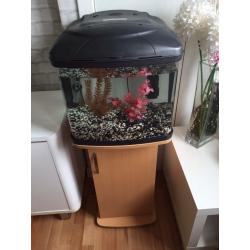 Full set up fish tank fish box