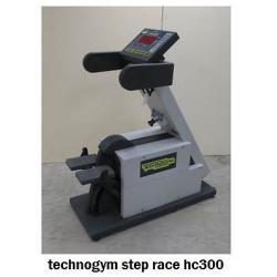 technogym professional stepper