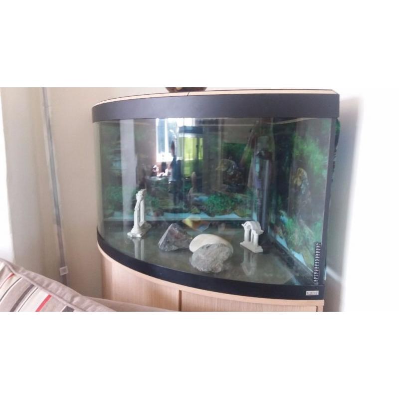 Fish tank