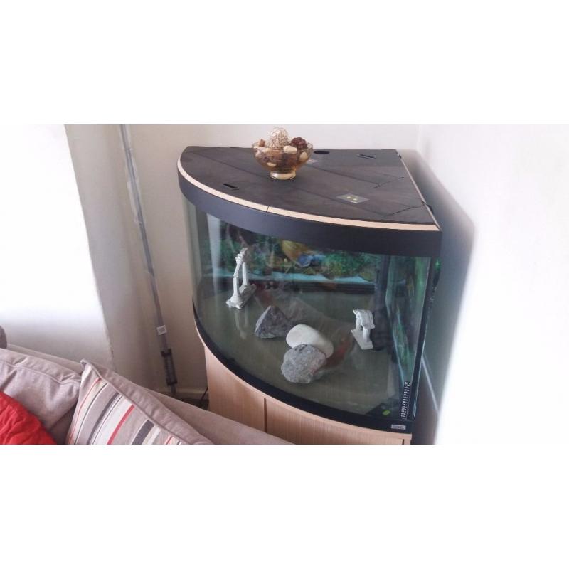 Fish tank