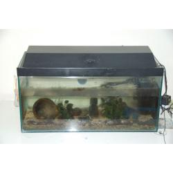 80 l fish tank + golden barb + b neon tetra + plastic tank + heating + filter + light + food + kits