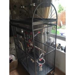 Brand new very large parrot cage!
