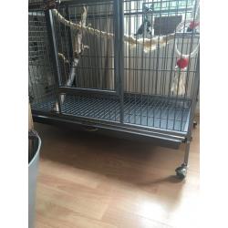 Brand new very large parrot cage!