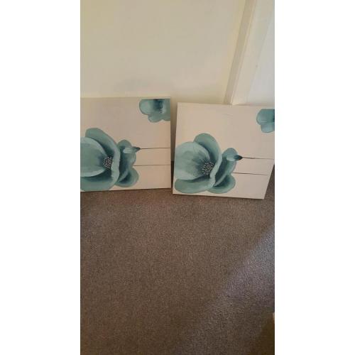 2 canvas pictures