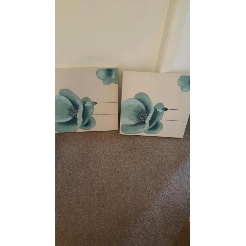 2 canvas pictures