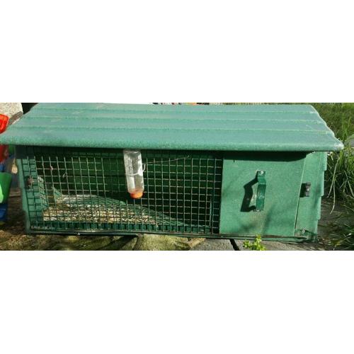 Rabbit or guinea pig hutch