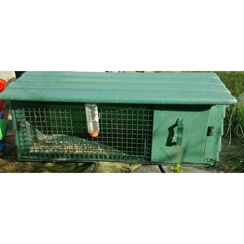 Rabbit or guinea pig hutch