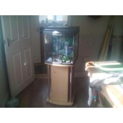 Fish tank