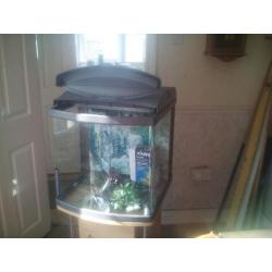 Fish tank