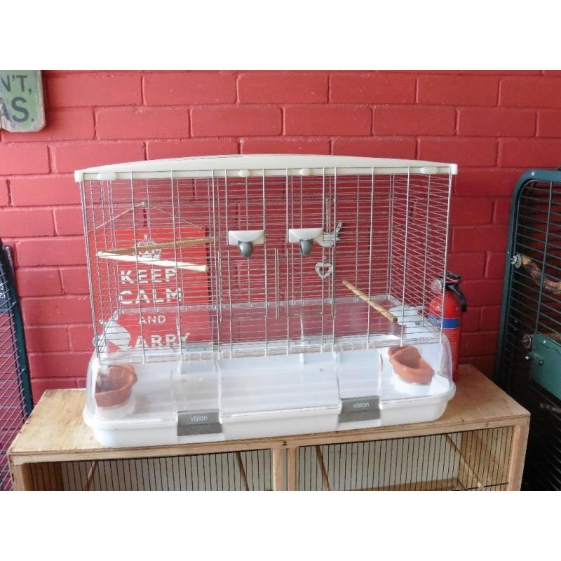 Pair of Celestial Parrotlets and Vision cage for sale