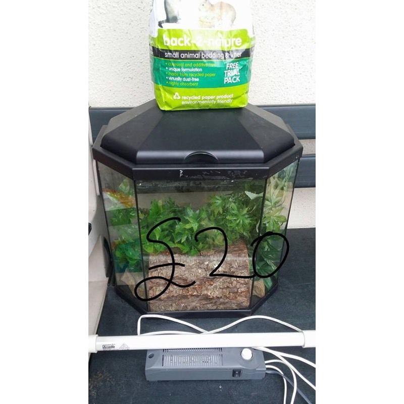 Geko / lizard tank